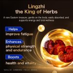 Conature Active Man Supplement | Ganoderma & Fenugreek | Energy Boost