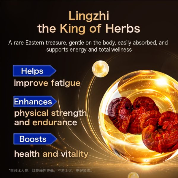 Conature Active Man Supplement | Ganoderma & Fenugreek | Energy Boost